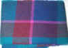 blue teal red plaid.JPG (190899 bytes)
