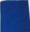 bright blue coat wt.JPG (84607 bytes)