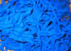 dutch tile blue.JPG (278347 bytes)