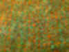 green and rust tweed swatch.jpg (461016 bytes)