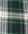 green plaid thirteen.JPG (328603 bytes)