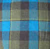 green plaid twelve.JPG (337820 bytes)