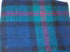 navy and teal plaid.JPG (160335 bytes)